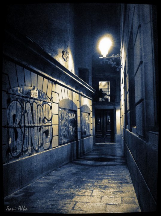 camí a ´Sant Felip Neri, gòtic.2012